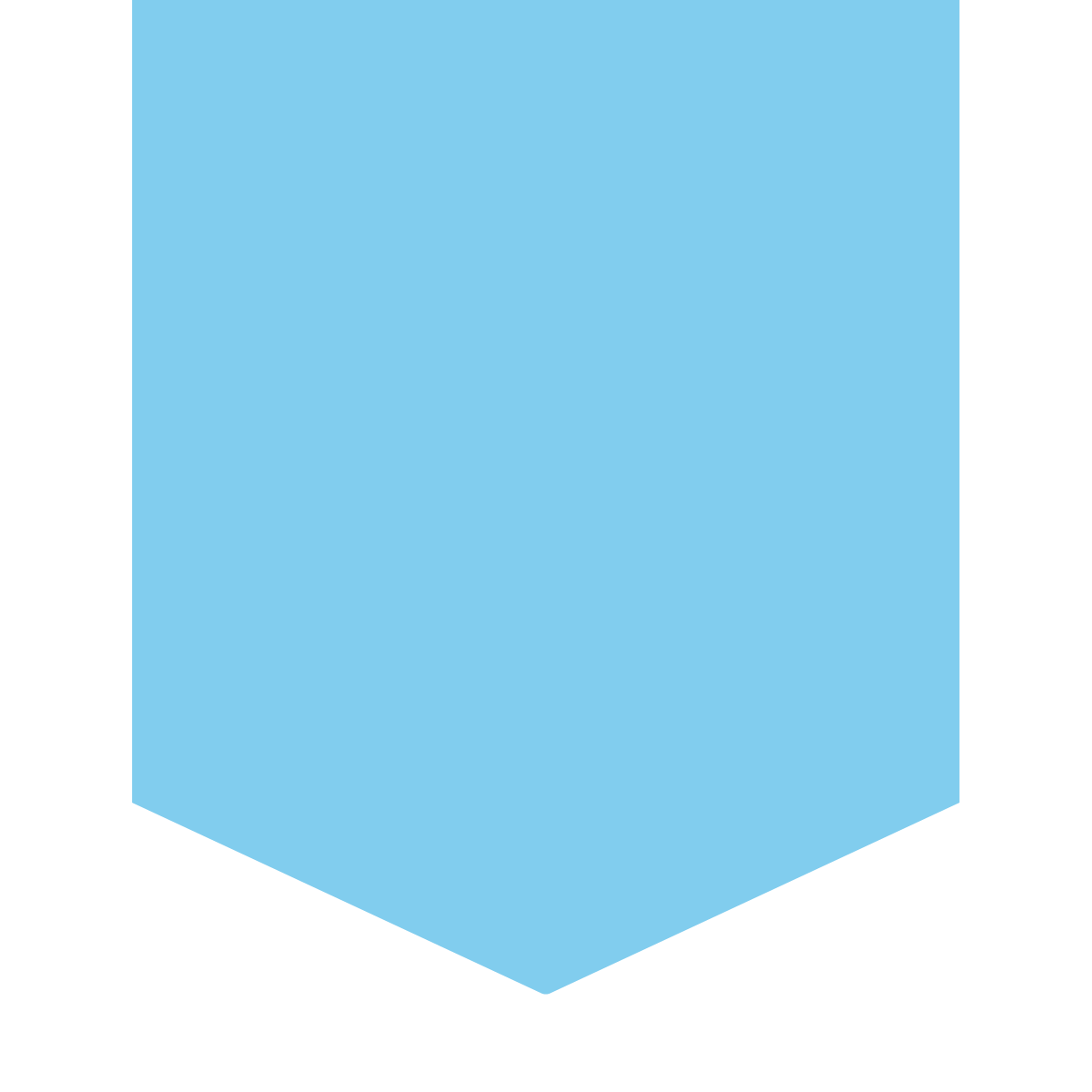 company video overlay